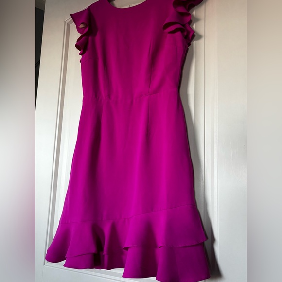 Fuchsia Ruffle Mini Dress - Picture 3 of 9